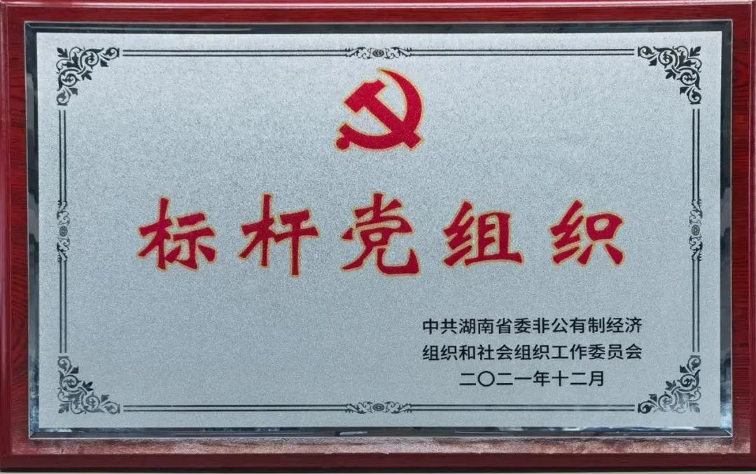 党建品牌亮起来！恒峰g22智能党委获评“标杆党组织”
