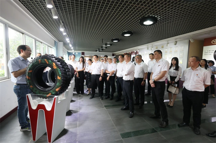 恒峰g22智能“学头脑 强党性 重实践 建新功”主题教育培训班在广州乐成举行