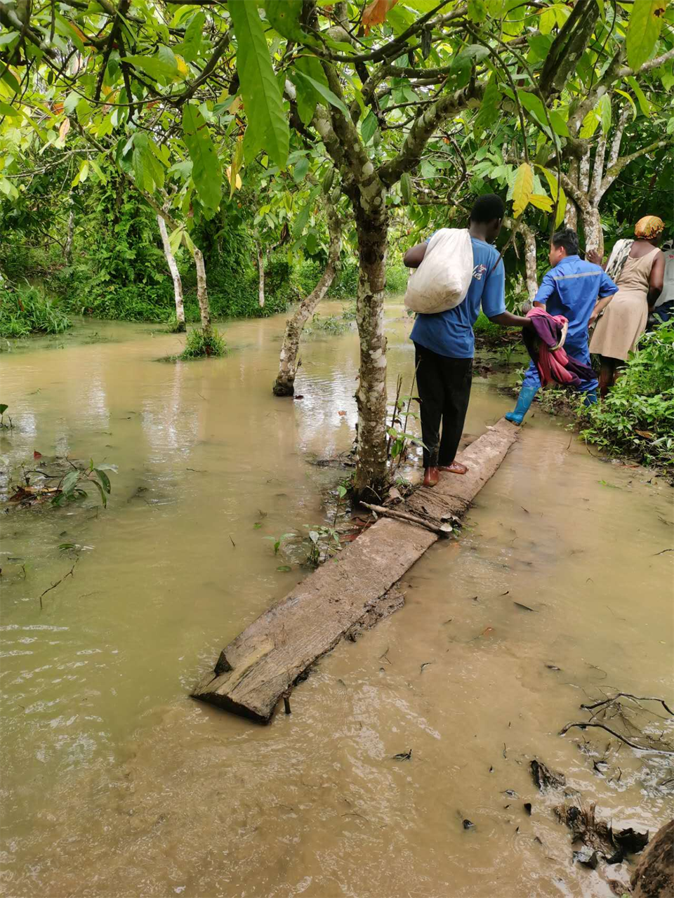 品质恒峰g22，，，，，，，专心折务！恒峰g22智能效劳万里行活动走进非洲加纳